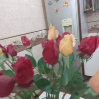 گل گلدان مصنوعی در حد نو|گل مصنوعی|قم, شهرک فاطمیه|دیوار