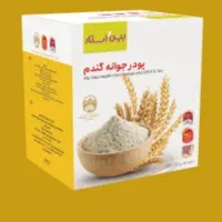 پود جوانه گندم دکتر بیز