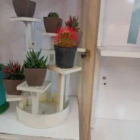 گل و گیاه
