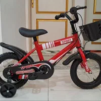 دوچرخش دوازدهی