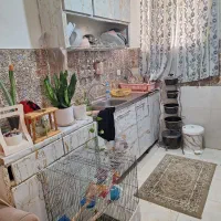 اجاره کوتاه مدت سوییت