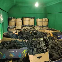 فروش زغال|عمده‌فروشی|بیرجند, |دیوار