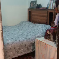 اجاره|اجارهٔ آپارتمان|مشهد, وحید|دیوار