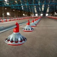 صفرتاصد لوازم و نصب مرغداری گوشتی|ماشینآلات صنعتی|الشتر, |دیوار