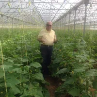 فروش گلخانه مدرن صنعتی تمام اتوماتیک|فروش دفتر صنعتی، کشاورزی، تجاری|آذرشهر, |دیوار