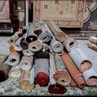 قالیشویی یاس