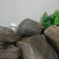 اکواریوم بزرگ همراه وسایل|ماهی|مشهد, طلاب|دیوار