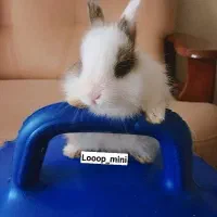 کادوی مناسب ولنتایم