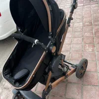 کالسکه دلیجان|کالسکه و لوازم جانبی|رشت, کاکتوس|دیوار