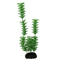 تعدادی گیاه آکواریوم و بهاره و ال ای دی آکواریوم