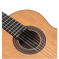 گیتار از اسپانیا مستقیم خریداری شده مدل پِرِز