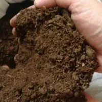 کود ، گاوی ،  پوسیده