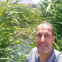 چشمه توتی، هزارجریب،مرداویج 2|فروش زمین و ملک کلنگی|اصفهان, هوانیروز|دیوار