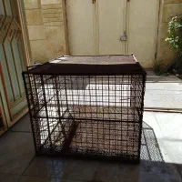 قفس مرغ و خروس