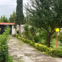 رهن و اجاره مغازه تجاری