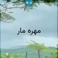 فال جذب خلاعق حل مشکلات