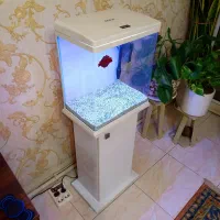 اکواریوم شرکتی اکوا با پایه شیشه خم DG400 لمسی|ماهی|ری, هاشم‌آباد|دیوار