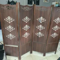 سرشور سالنی تختی