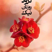 مغازه تجاری چهارباغ پرند