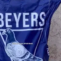 کبوتر|پرنده|تهران, تهرانسر مرکزی|دیوار