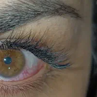 لیفت ابرو و مژه /کاشت و اکستنشن مژه|خدمات آرایشگری و زیبایی|زابل, |دیوار