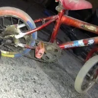 دوچرخه بچه گانه