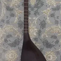 ساز تنبور|سازهای سنتی|ایلام, |دیوار