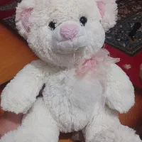 عروسک پولیشی