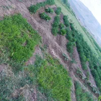 فروش-زمین-باغ-با-درختان-میوه-و-خانه-باغ-در-قرتپه