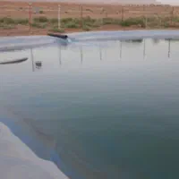 فروش باغ و زمین دو هکتاری پسته و انار لالایین فوری|فروش زمین و ملک کلنگی|ساوه, |دیوار