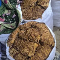 کاهو|خدمات باغبانی و درختکاری|کاکی, |دیوار