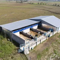 زمین چهار هزار متری سنددار|فروش زمین و ملک کلنگی|رشت, بلوار گیلان|دیوار