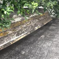 قایق سی سرا کولاک