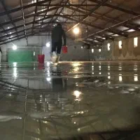 نیروی مرغداری|استخدام صنعتی، فنی، مهندسی|قزوین, |دیوار