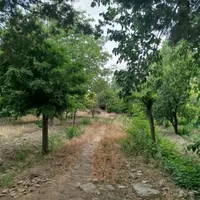 فروش زمین