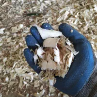 استخدام نیرو کار ساده