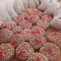 کشک گاو سنتی خشک