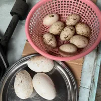 تخم غاز و اردک فروشی