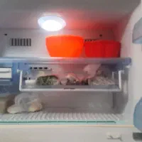 زیرقیمت|کلکسیون اشیاء عتیقه|سهند, |دیوار