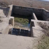 زمین|اجارهٔ دفتر صنعتی، کشاورزی، تجاری|گنبد کاووس, |دیوار