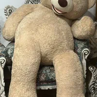 خرس دو متری در حد نو