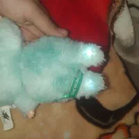 عروسک لبوبو