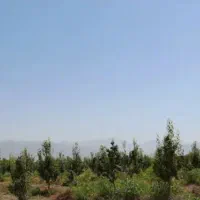 اپارتمان-115-متر-فاز-3-بلوار-شهرداری-تک-واحدی