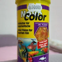 ماهی و آکواریوم