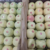 سیب درجه یک پول نقد|خوردنی و آشامیدنی|اهر, |دیوار