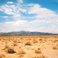 چاه-موتور-دربست
