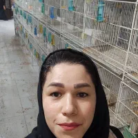 سالن طوطی نویان پاروت کوتوله عروس قناری کفتر|پرنده|مشهد, فاطمیه|دیوار