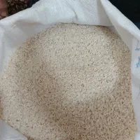 برنج هاشمی محلی ۱۴۰۴