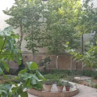 ویلایی پاسداران ۴۰۰متر دنج و مشجر|اجارهٔ خانه و ویلا|تهران, پاسداران|دیوار