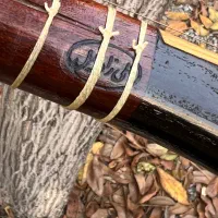 سه تار زادخیل|سازهای سنتی|تهران, جردن|دیوار